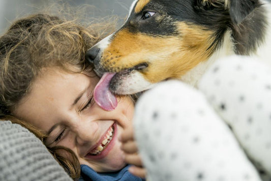 What makes a happy dog?