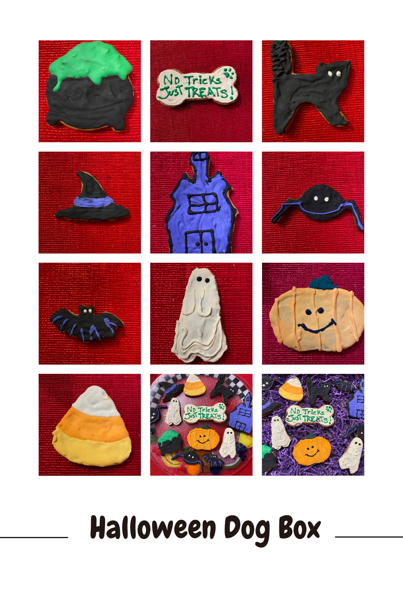 Halloween Organic Dog Cookie Box