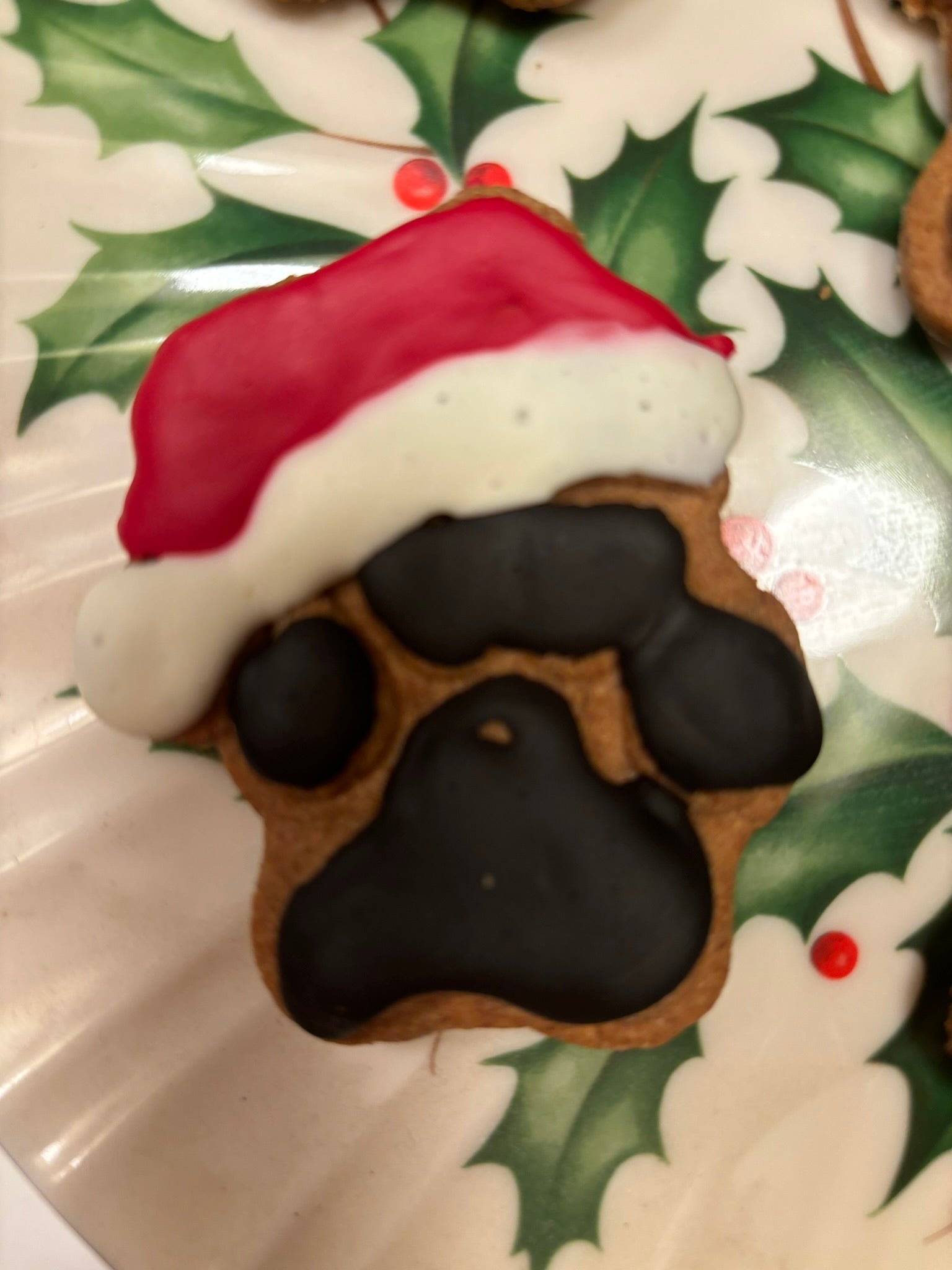 organic peanut butter dog treats