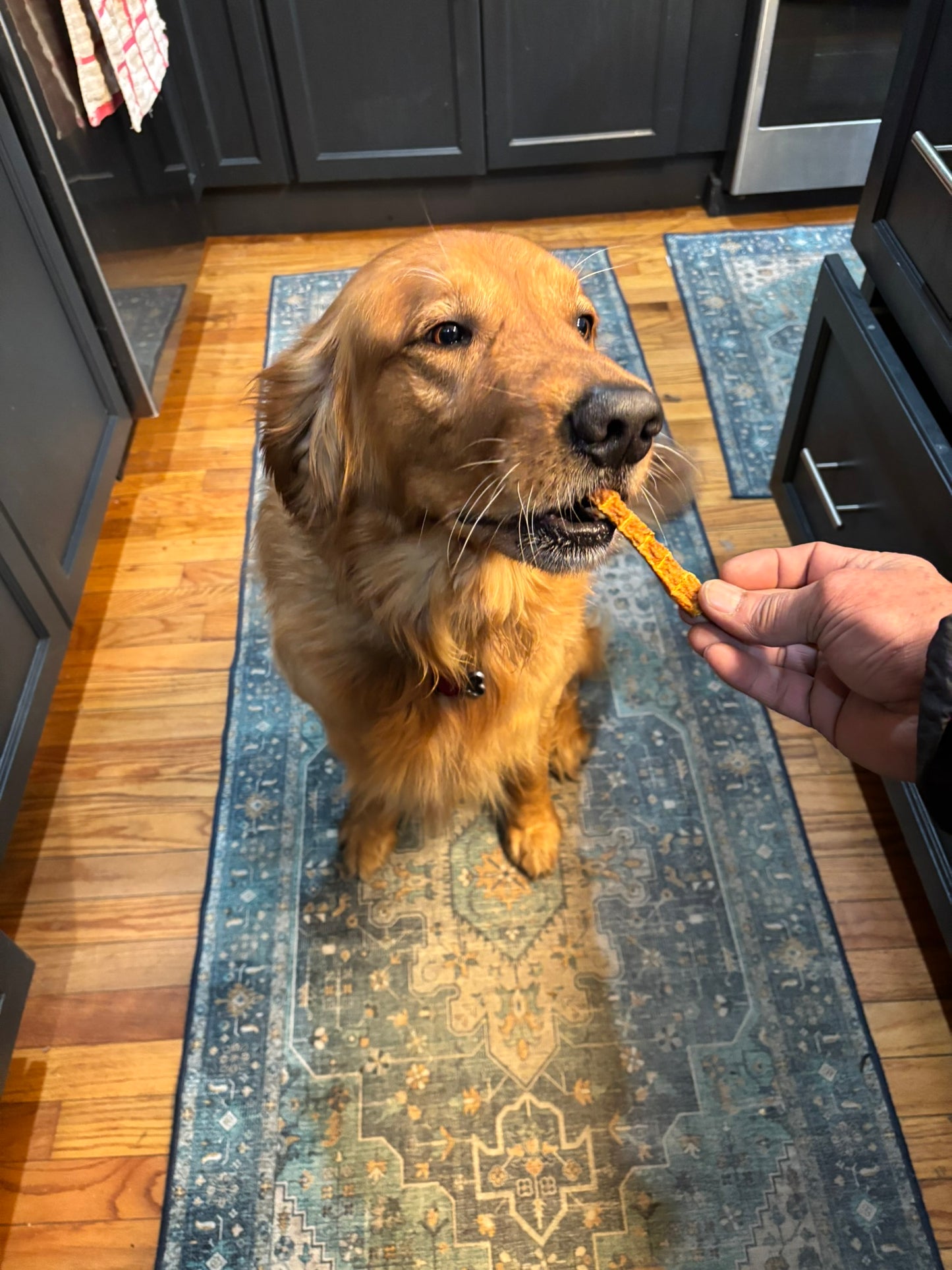 Organic fruit and veggie dog treat sticks made with whole ingredients and baked fresh.