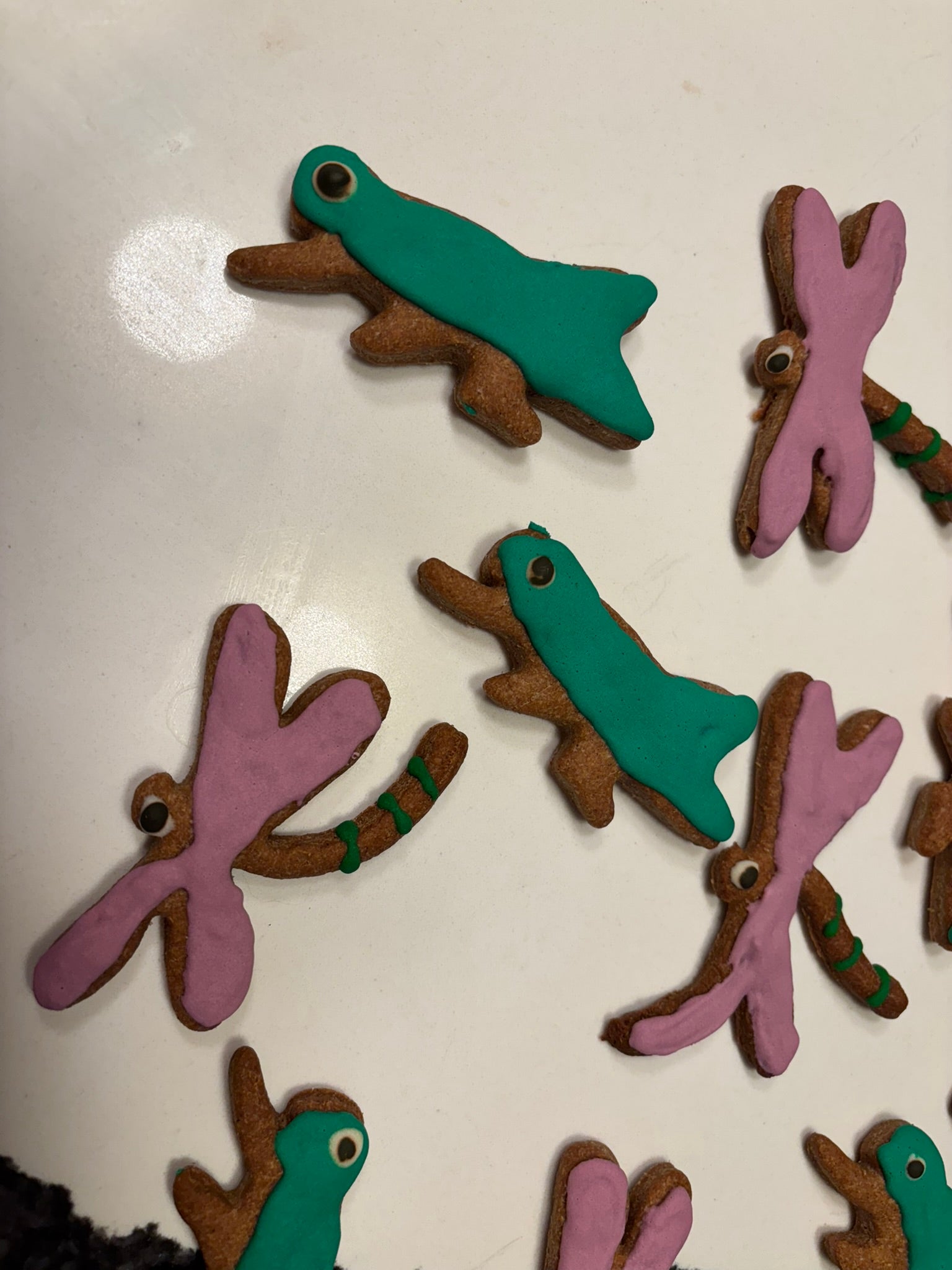 ORGANIC DOG TREATS