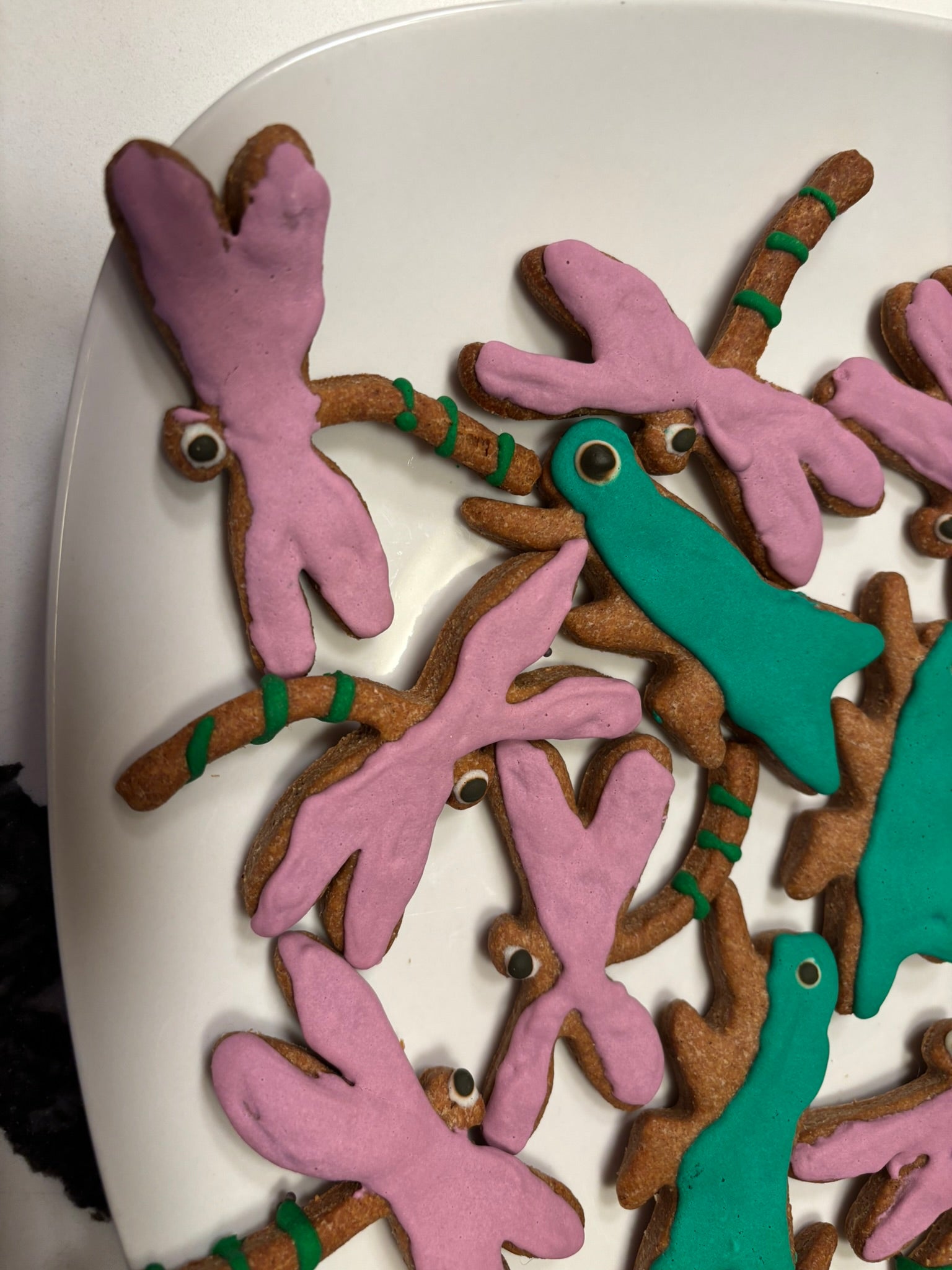 ORGANIC DOG TREATS