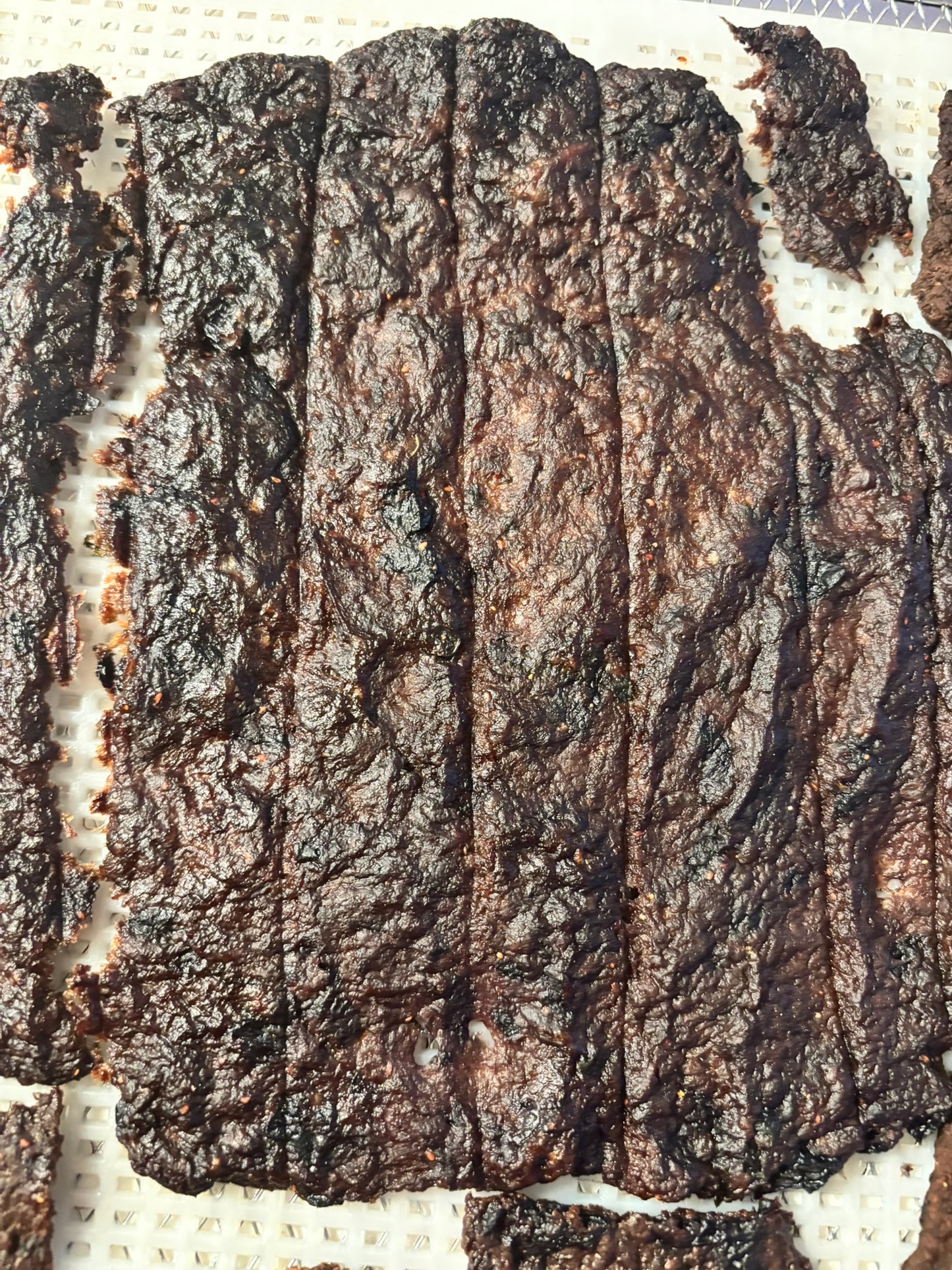 Organic Beef Blueberry Jerky Dog Treats 🐾🥩