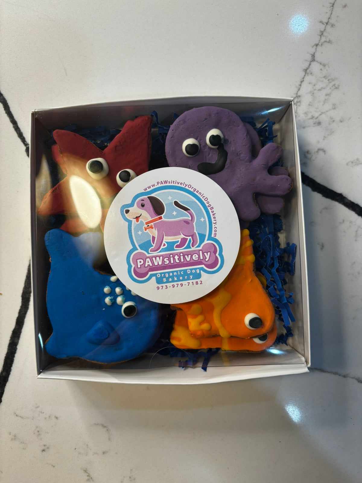 decorated dog cookies fish starfish octopus organic dog bakery treats