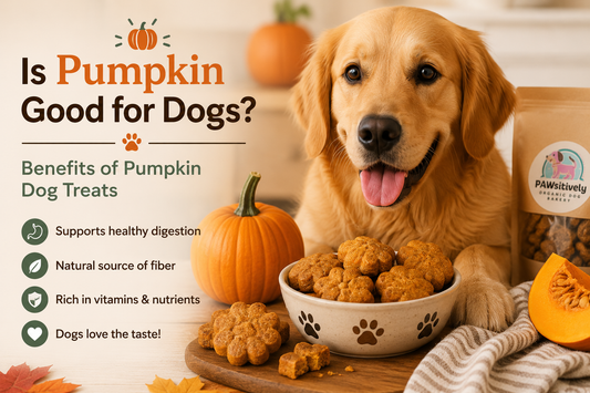 Is Pumpkin Good for Dogs? Benefits of Pumpkin Dog Treats
