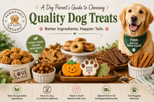 How to Choose Quality Dog Treats | Dog Parent Guide