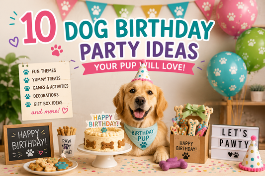 10 Dog Birthday Party Ideas Your Pup Will Love
