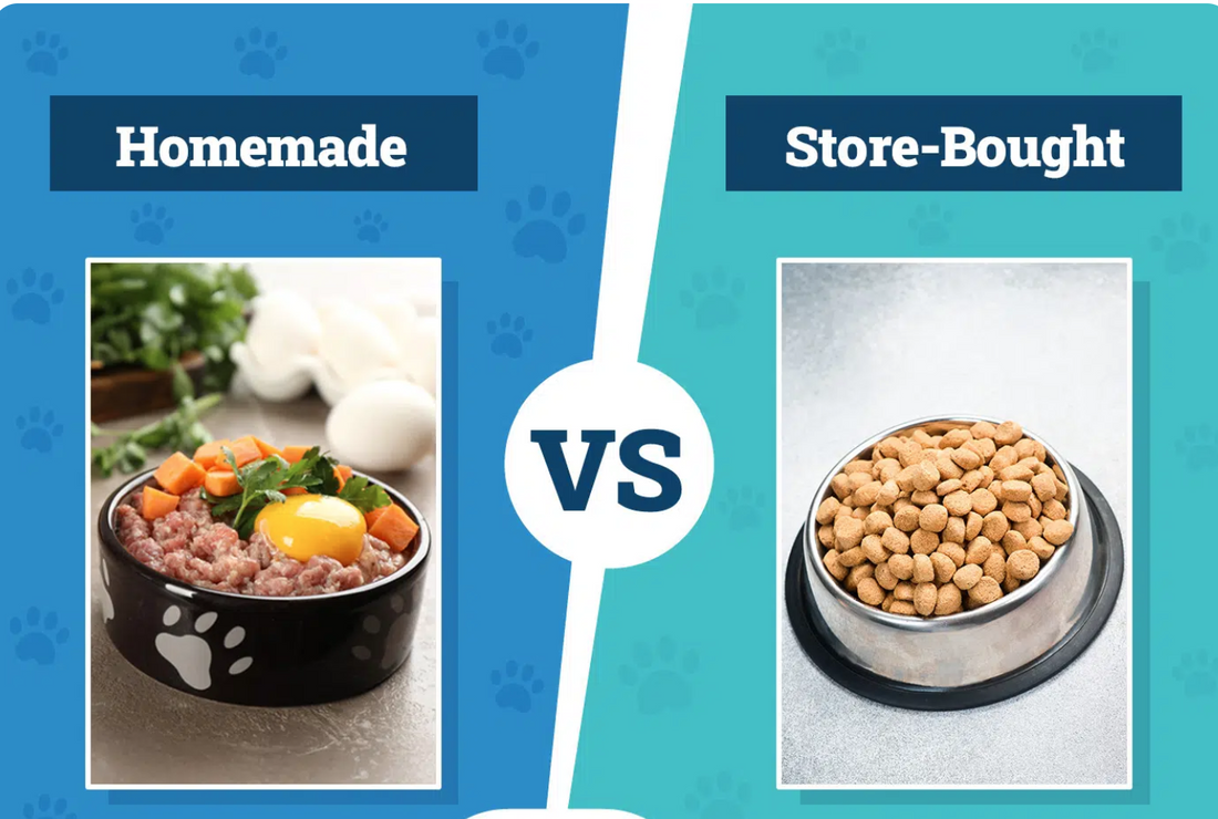 homemade organic dog food vs store bought