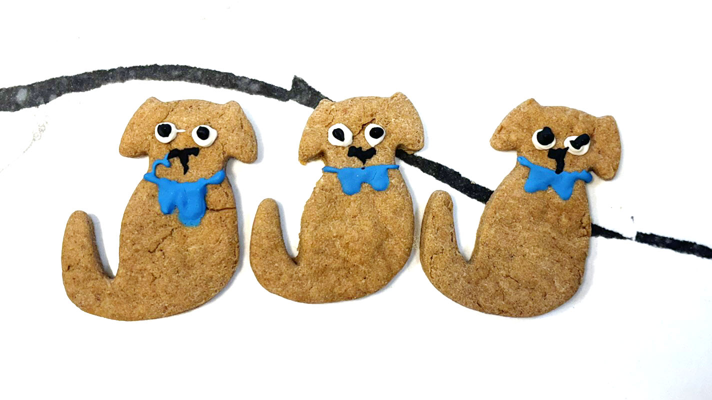 Handmade Finn cookies for dogs with dog-safe icing, organic bakery-style treats