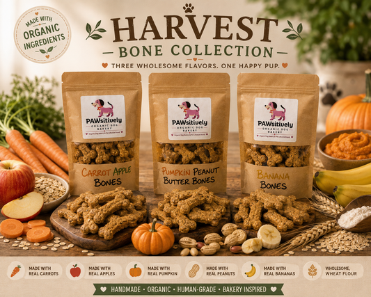 PAWsitively Organic Dog Bakery Harvest Bone Collection featuring Pumpkin Peanut Butter, Apple Carrot and Banana dog treats
