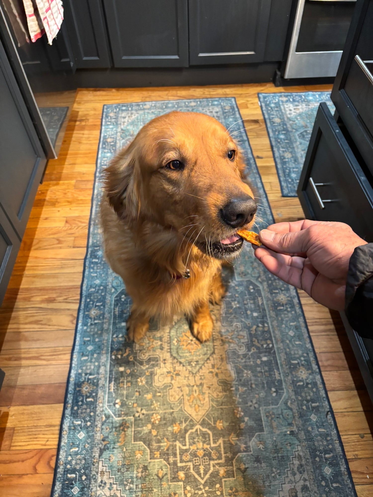 ORGANIC DOG TREATS