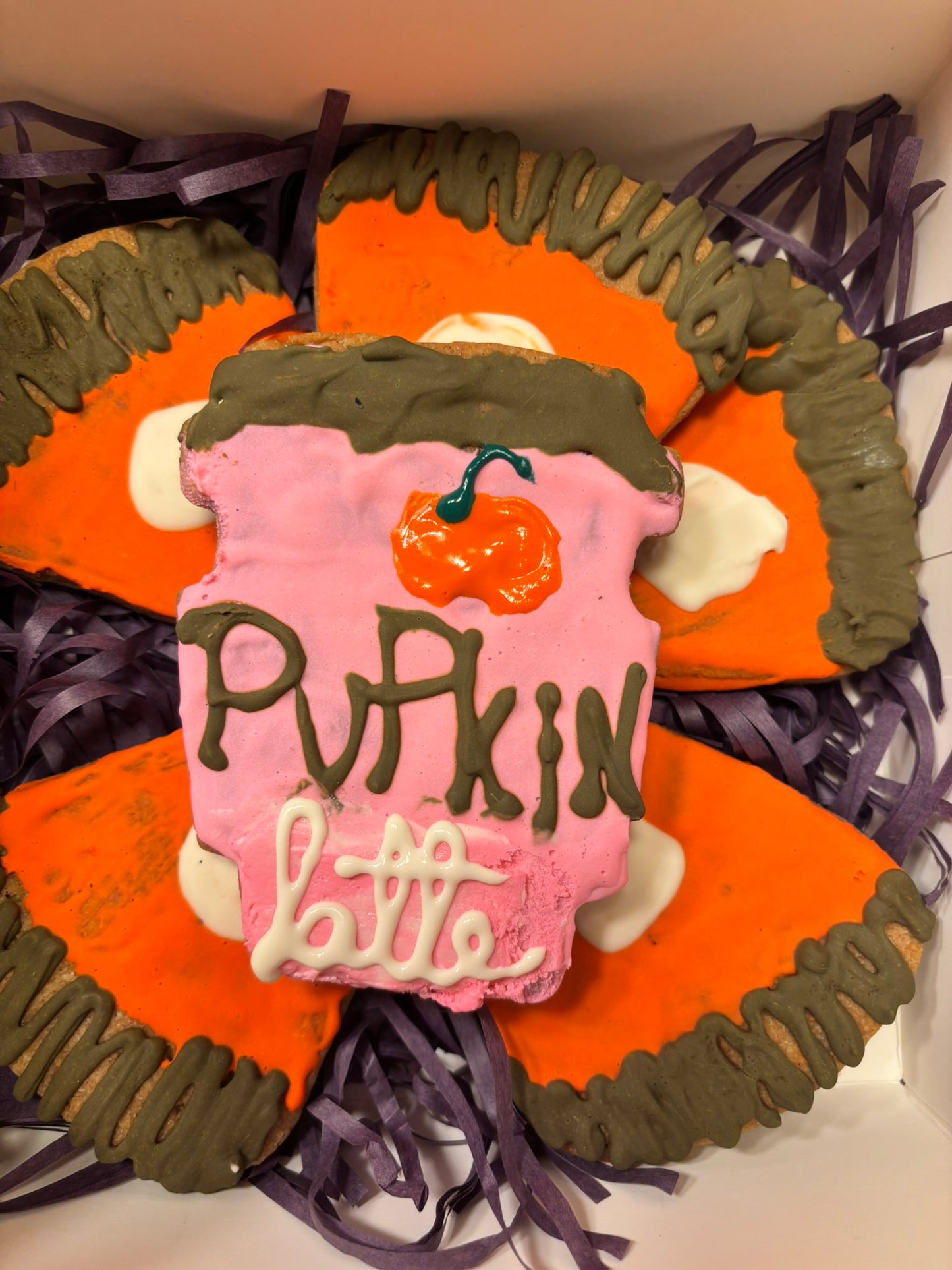 Organic Pupkin Latte Cookies for Dogs – Handmade Peanut Butter & Cinnamon Treats