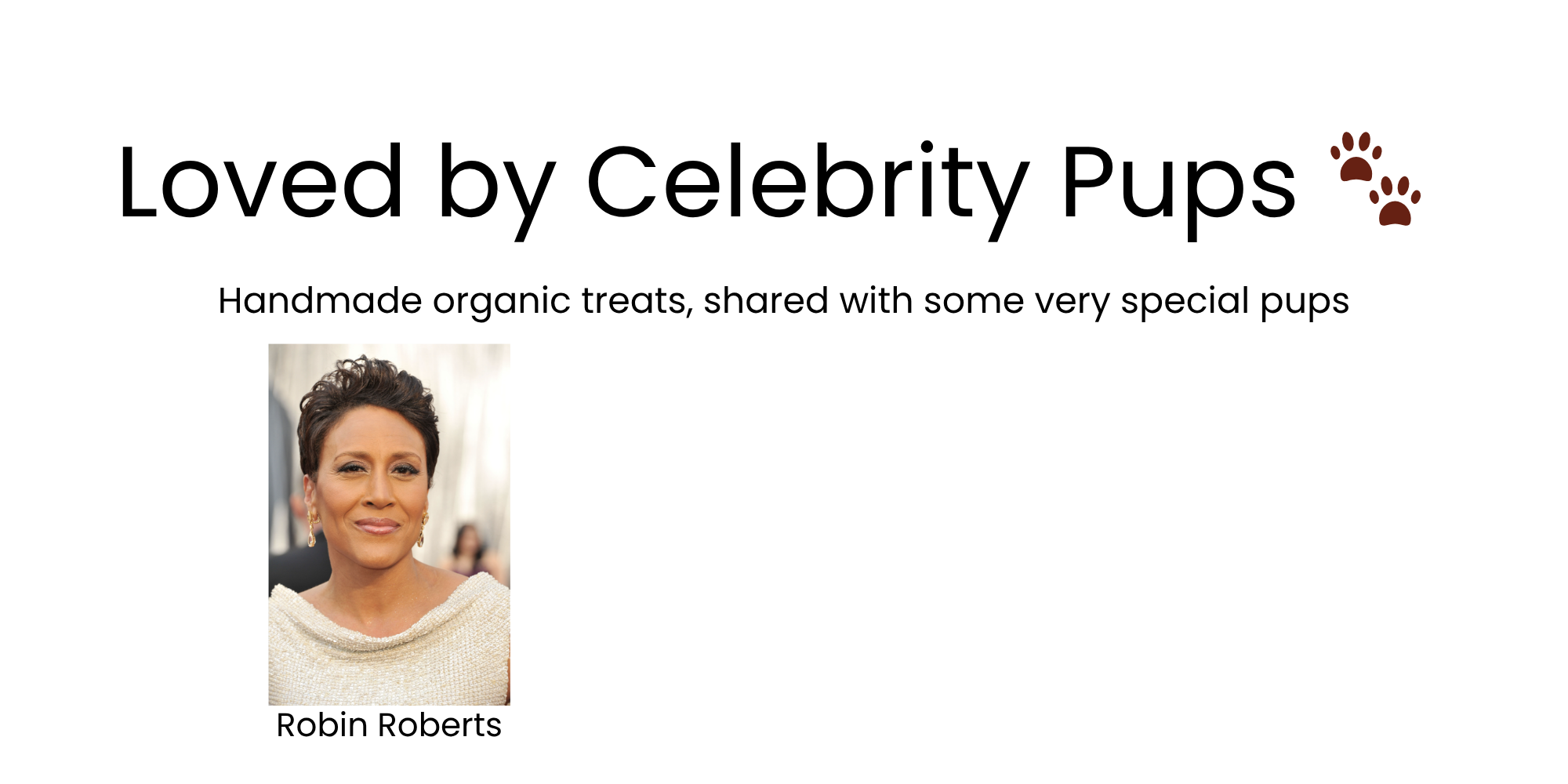 lOVED BY CELEBRITY DOGS