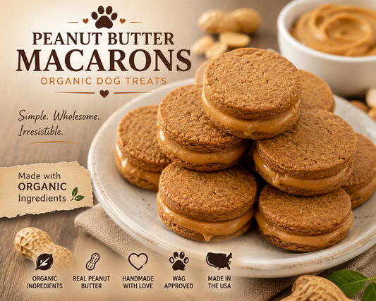 Handcrafted peanut butter macaron dog treats filled with creamy peanut butter and arranged on a ceramic plate. These organic sandwich-style dog cookies are made in small batches with wholesome ingredients and photographed in a warm bakery-inspired setting. 🥜🐾
