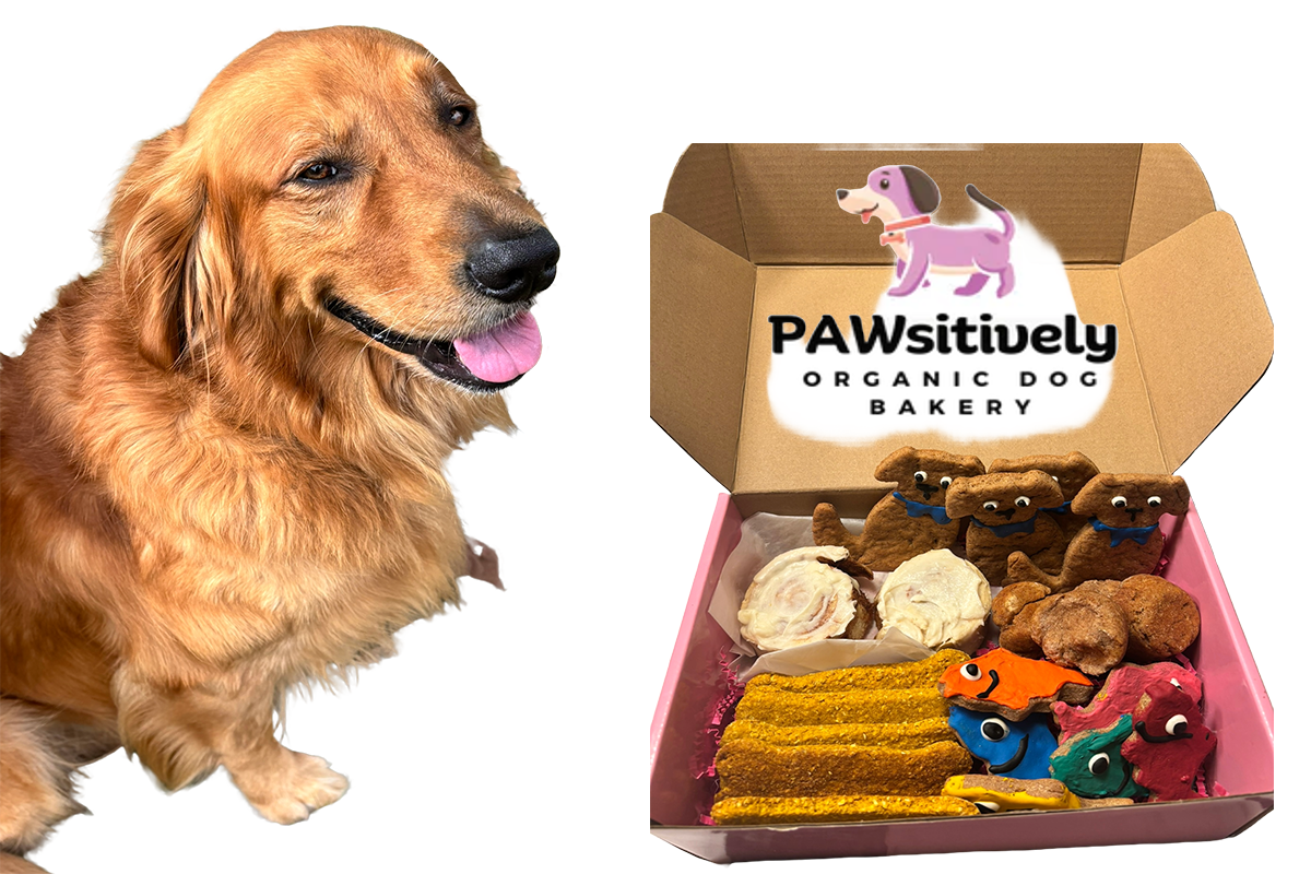 Golden retriever with handmade organic gourmet dog treats.