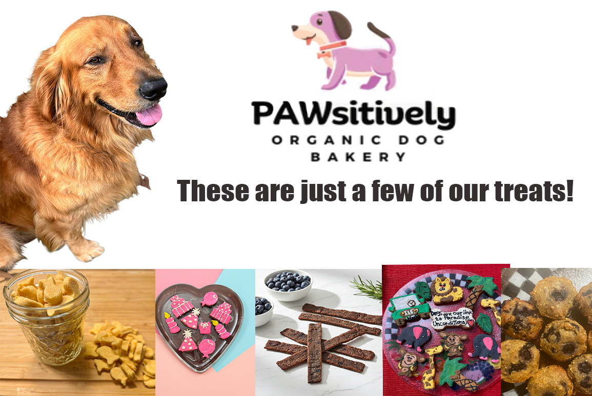 Golden retriever with handmade organic gourmet dog treats.