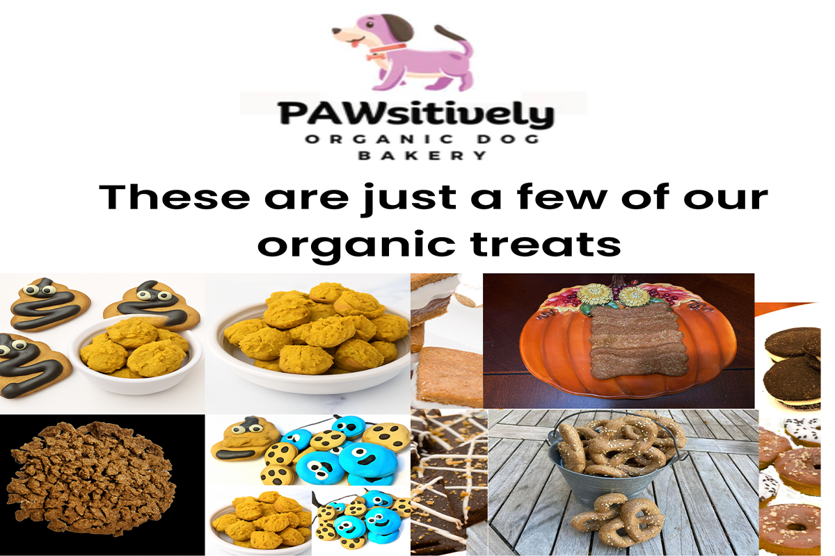 Signature organic gourmet dog bakery collection featuring handmade seasonal treats.