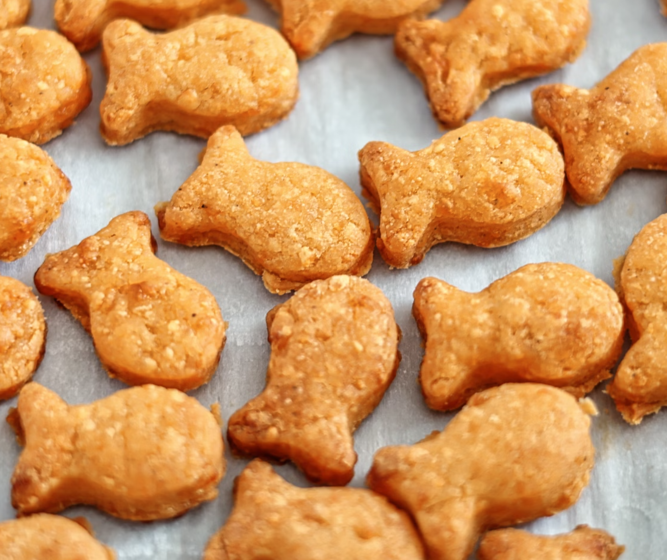 organic goldfish dofg treats