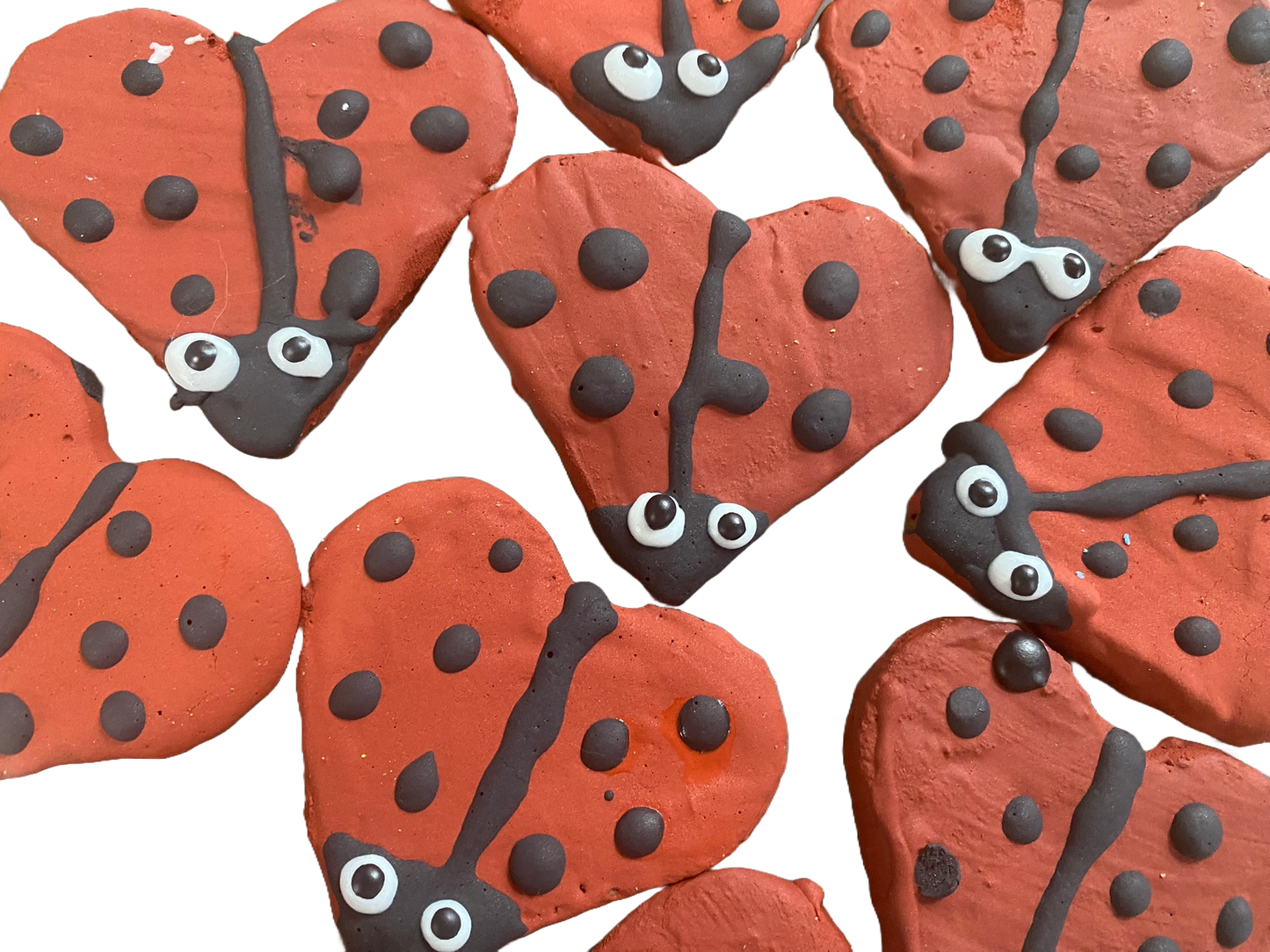 Organic ladybug-shaped dog cookies decorated with red icing and black polka dots, handmade with dog-safe ingredients.