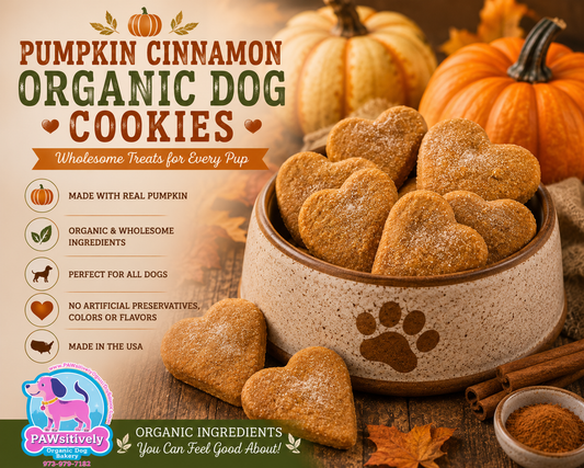 Heart-shaped Pumpkin Cinnamon Organic Dog Cookies displayed in a rustic dog bowl surrounded by pumpkins, cinnamon sticks, and autumn leaves. This fall-themed bakery-style image highlights handmade dog treats made with wholesome ingredients and warm seasonal flavors from PAWsitively Organic Dog Bakery. 🎃❤️🐾🍂