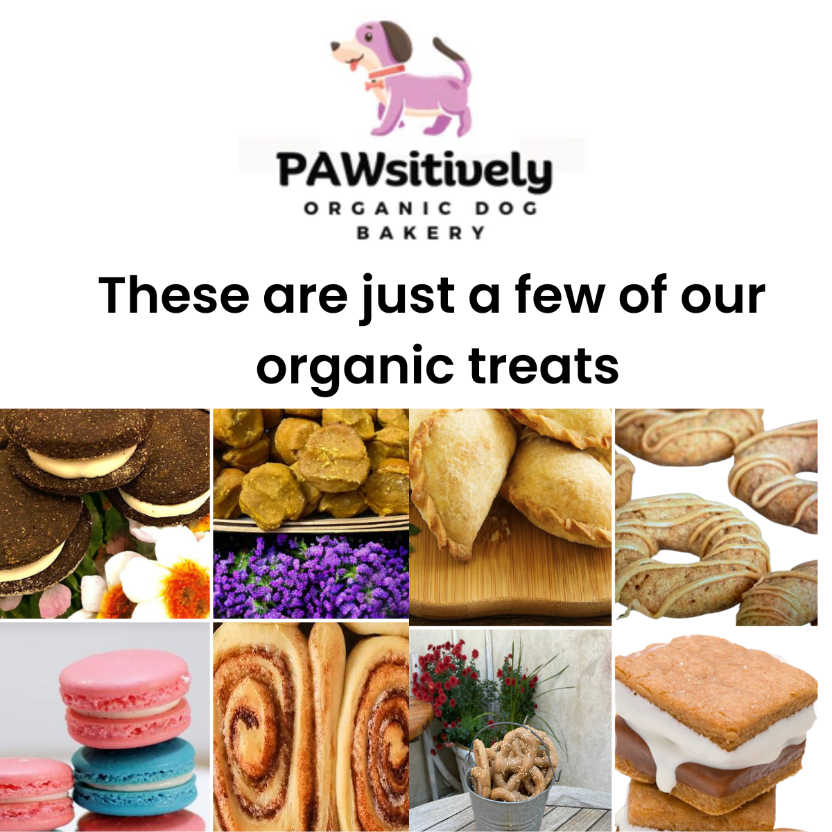 Signature organic gourmet dog bakery collection featuring handmade seasonal treats.